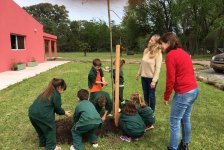 2017-varios-arbolesrotary-06