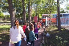 2018-jardin-carpinteria-01