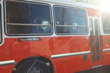 2018-jardin-carpinteria-13