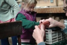 2018-jardin-carpinteria-20