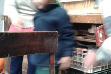 2018-jardin-carpinteria-30