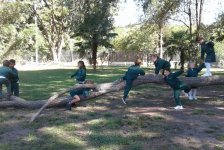 2018-jardin-sala5naturaleza-01