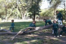 2018-jardin-sala5naturaleza-03