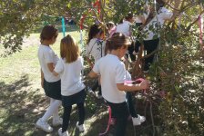 2018-jardin-sala5naturaleza-05