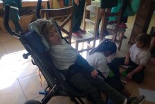 2018-primaria-diaarbol-02