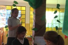 2018-primaria-diaarbol-06