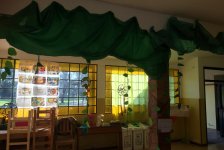 2018-primaria-diaarbol-07