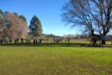 2018-primaria-dianino-14
