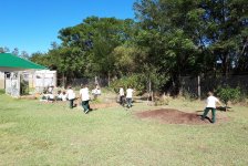 2018-primaria-huerta-01