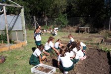 2018-primaria-huerta-02