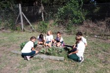 2018-primaria-huerta-04