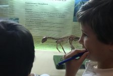 2018-primaria-viajelaplata-41