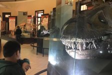 2018-primaria-viajelaplata-44