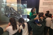 2018-primaria-viajelaplata-45