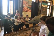 2018-primaria-viajelaplata-47