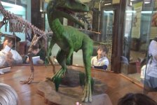 2018-primaria-viajelaplata-53