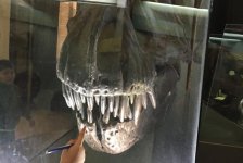 2018-primaria-viajelaplata-54