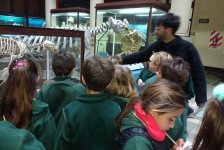 2018-primaria-viajelaplata-57