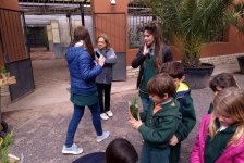 2018-primaria-viverolobos-01