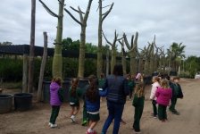 2018-primaria-viverolobos-02