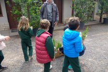 2018-primaria-viverolobos-03
