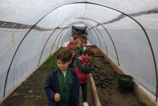 2018-primaria-viverolobos-05
